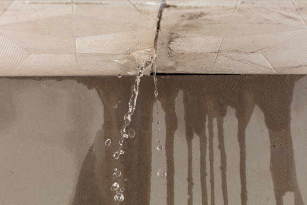 Professional Water Damage Inspection technician working in Hingham, MA